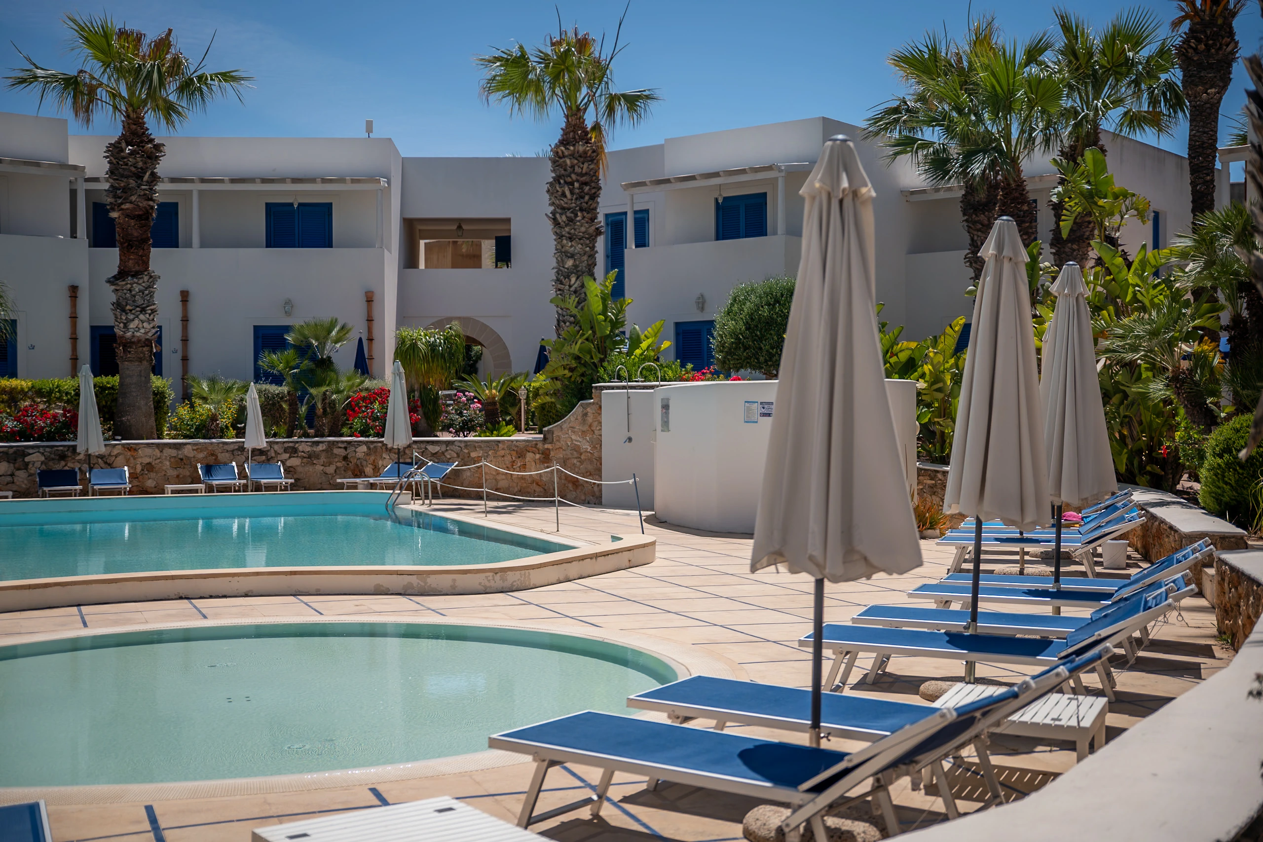 Piscina e solarium tra le palme di Cala La Luna